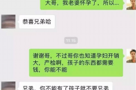 市南为什么选择专业追讨公司来处理您的债务纠纷？